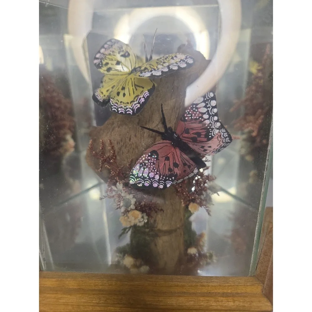 Vintage Glass & Wood Hexagonal Butterfly Taxidermy Diorama Display Yellow Pink